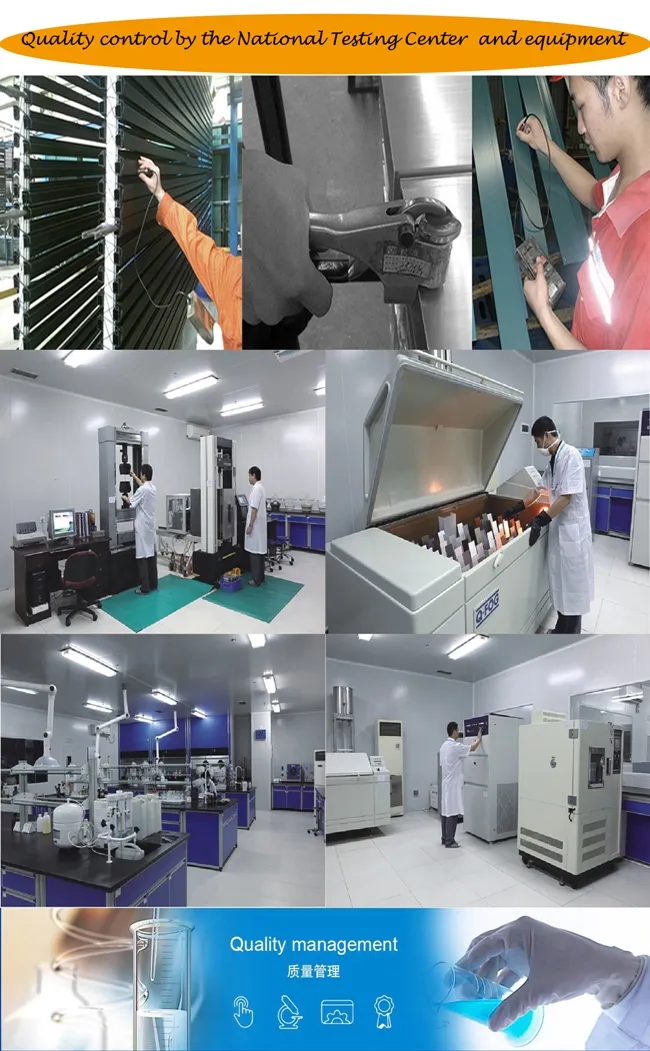 Aluminum/Aluminum Skylight Louvre Dormer Roof Window