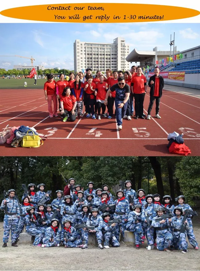 Aluminum/Aluminum Skylight Louvre Dormer Roof Window