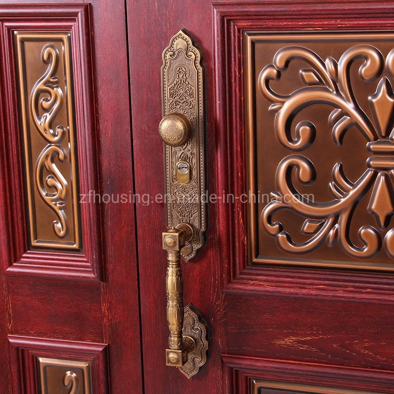 China Factory Supply Metal Exterior/Interior Steel Security Door Zf -Ds-004