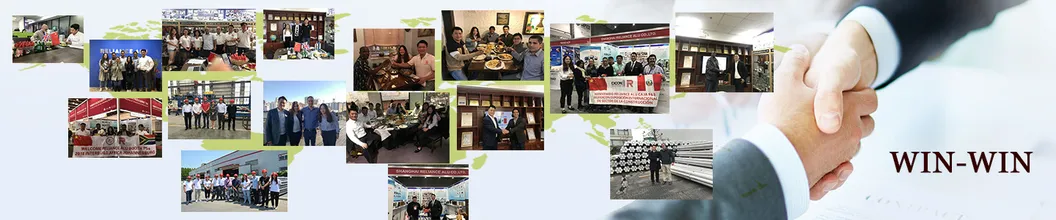 Customization Prairie Powder Coating Aluminum Profile for Windows