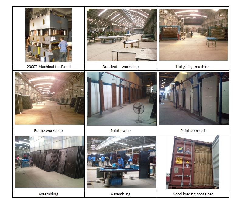 Fancy Steel Russia Design Security Single Entry Black Door on Sale (EF-B30)