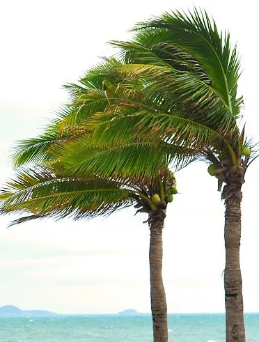 Florida Miami-Dade Noa Approval Aluminium Glazed Bifolding Window