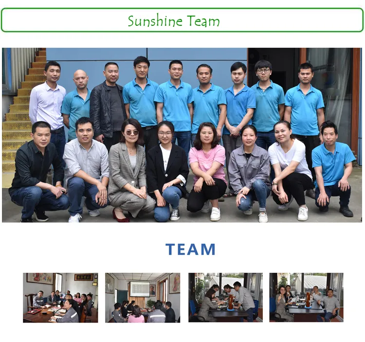 Fuzhou Factory Fire Proof Double Glazing Aluminum Casement/French Window for Villa Project