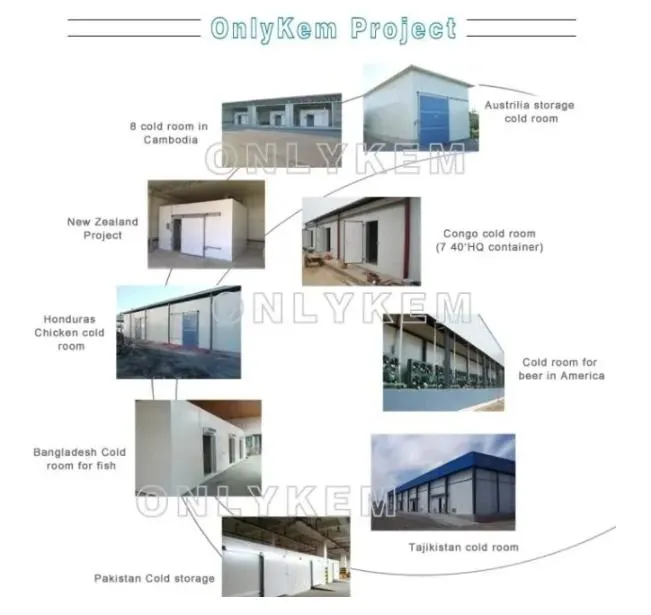 Hinged Door with Escape Device for Cold Room