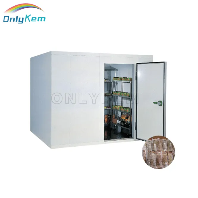 Hinged Door with Escape Device for Cold Room