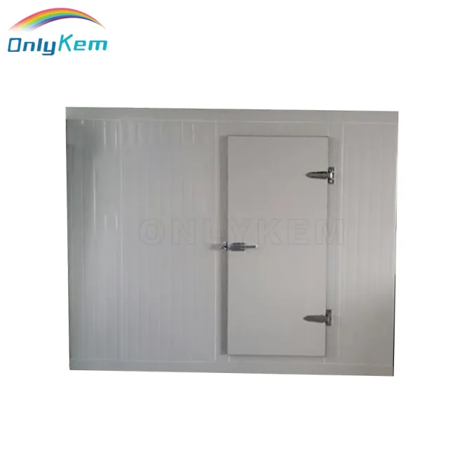 Hinged Door with Escape Device for Cold Room