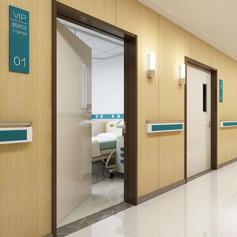 Swing Steel Door