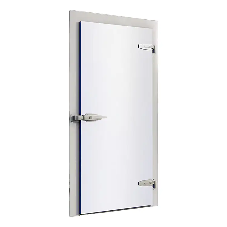 Semi Recessed Cold Storage Door 