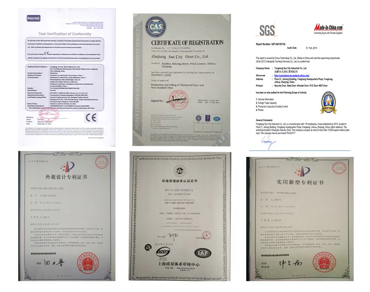 Models Steel Door Design Used Wrought Iron Door Gates (SC-S041)