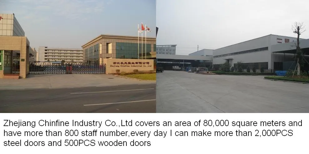 Nigeria Entrance Steel Door (CF-869)