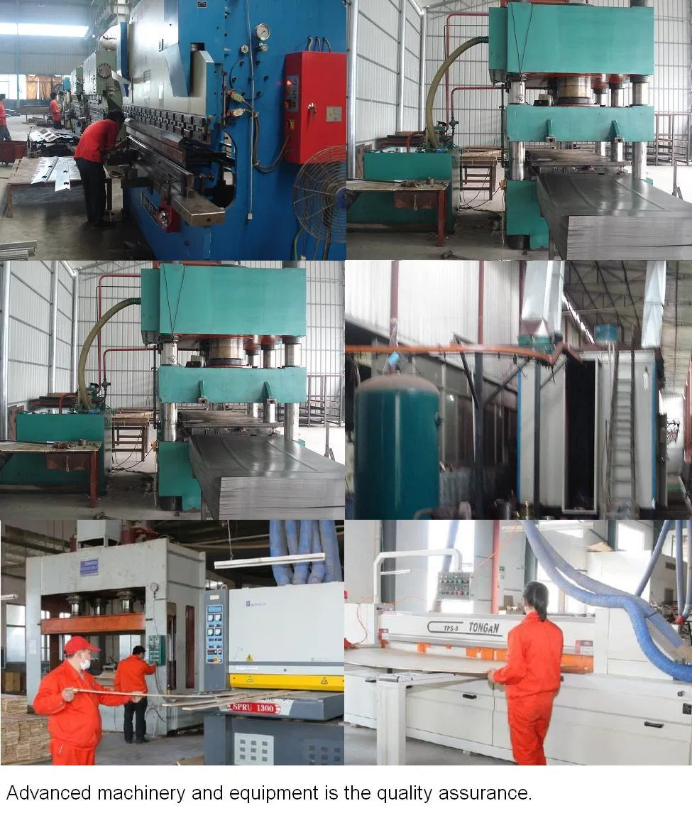 Nigeria Entrance Steel Door (CF-869)