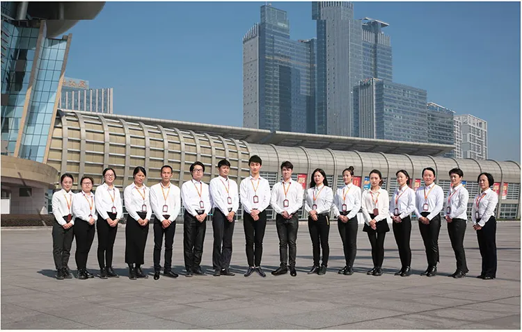 Top Design Sales Economic 5 Panel Steel Door Design (SC-S064)