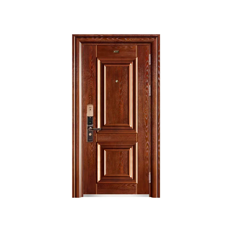 Top Level Modern Villa House Luxury Front Double Security Steel Door Designs